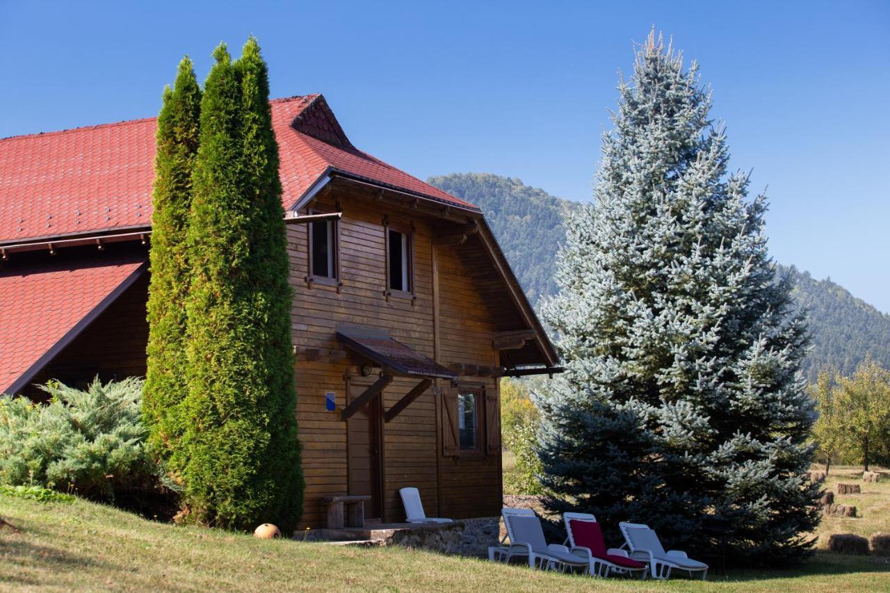 Woodenhouse With Two Apartments Otočac Dış mekan fotoğraf