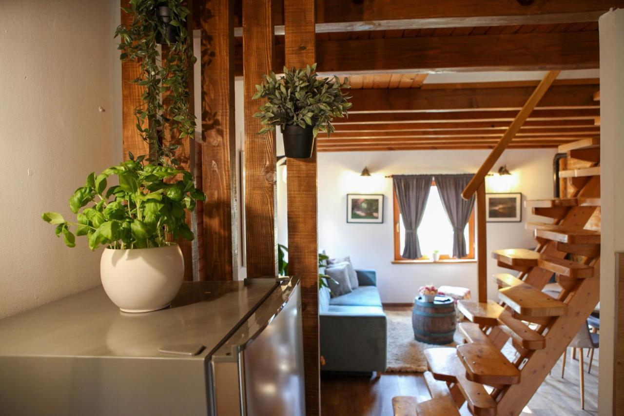 Woodenhouse With Two Apartments Otočac Dış mekan fotoğraf